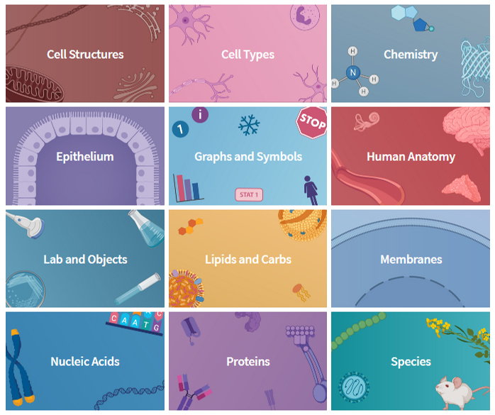 biorender_life-science_icon_ss1